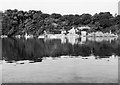 Looking across the pill to Sandy Haven, 1953