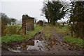 A muddy lane, Tattymoyle Upper