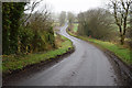 Bends along Rahony Road, Tattymoyle Upper