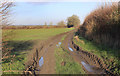 Farmland and Mud