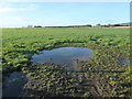 Puddle in a field north of East Preston