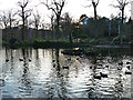 Lake in Nottingham Arboretum 