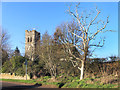 Tower and Tree, Hatford