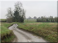 Country lane near Manuden