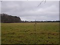 Fields off Hasty Lane