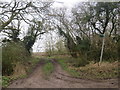 TL4527 : Track and bridleway near Furneux Pelham by Malc McDonald