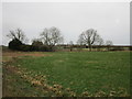 Grassland below the Witham bank