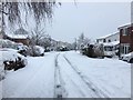 Bosburn Drive after snowfall