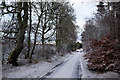 Minor road at Knockbain