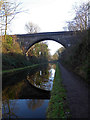 Tame Valley canal - Freeth Bridge