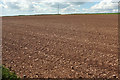 Tilled field near Knighton Farm