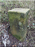 SJ3069 : Boundary Stone by Wepre Brook by John S Turner