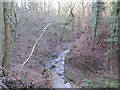 West Burn Wooded Gorge