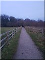 Path near Fairywell Wood