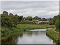 Canal and pasture near Norton-in-the-Moors