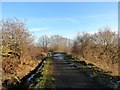 Lanchester Railway Walk in winter