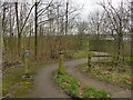 Calder Valley Greenway, west from Bog Green Lane