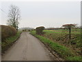 Country lane near Brent Pelham