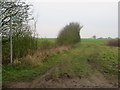 Public footpath near Anstey