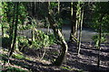 Looking down on the River Meon from the Meon Valley Trail