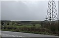 Fields near Ringmer