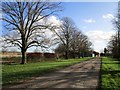 Roadway to Holygate Farm