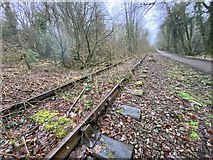 SS9085 : Disused railway line by Alan Hughes