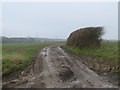 TL4523 : Track through field near Bishops Stortford by Malc McDonald
