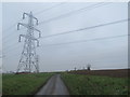 TL4623 : Pylons near Bishops Stortford by Malc McDonald