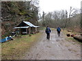 Trac coedwigoedd Allt Ty Mawr  / Allt Ty Mawr forestry track