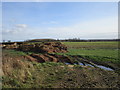 Agricultural waste near Wymondham