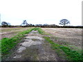 Farm track (footpath) off the A1238