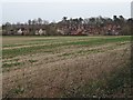 Houses near Besford Court