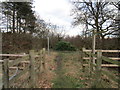 Path into Stapleford Wood