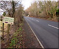 Vineyard next right, Llanwenarth