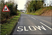 H4781 : Slow markings along Glenpark Road by Kenneth  Allen