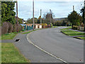 Feline security guard, Crowbrook Road