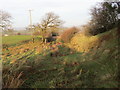 Llwybr Abertrinant / Abertrinant Path