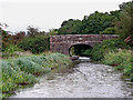 SJ9453 : Plant's Bridge west of Hazelhurst Junction, Staffordshire by Roger  Kidd