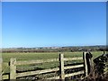 Roadside fence on Outputs Lane