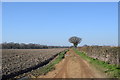 Bridleway off Church Road