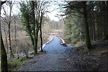 NX4465 : New Path over the Dam Wall, Kirroughtree Forest by Billy McCrorie