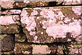 Benchmark on roadside dry stone wall at Carleton Brow