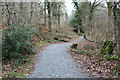 NX4565 : Trail to Kirroughtree Visitor Centre by Billy McCrorie