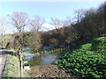 Pond near Easthope Farm