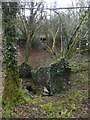 Ruin in former quarry, Burchetts Wood