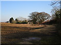 Stubble field and Angel Wells Farm