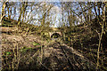 Keele Park Station (disused) and Bridge