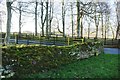 Entrance driveway to Whinfell Park Cottages from A66