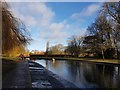 Lake in Rowntree Park